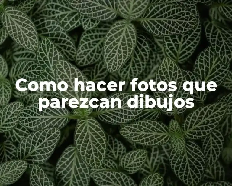 Como hacer fotos que parezcan dibujos