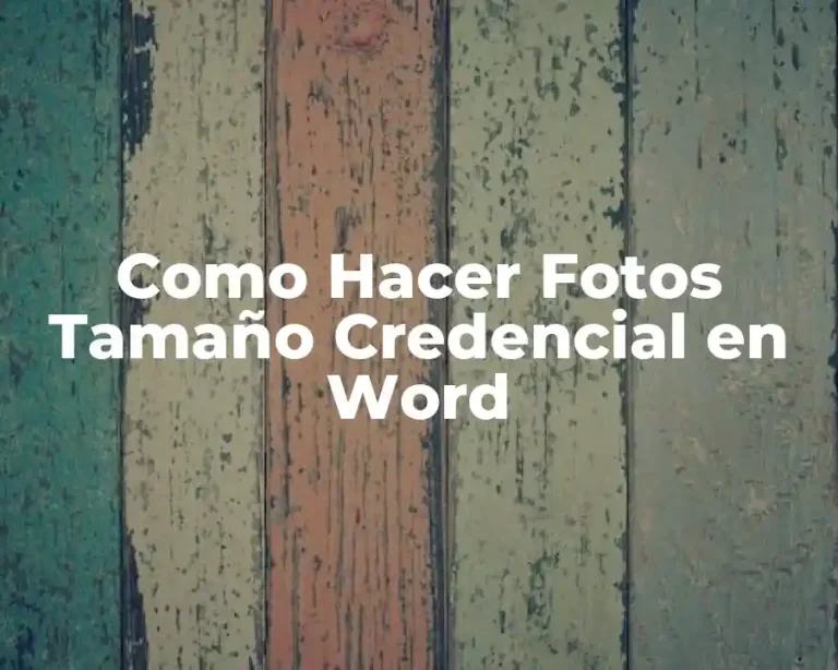 Como Hacer Fotos Tamaño Credencial en Word