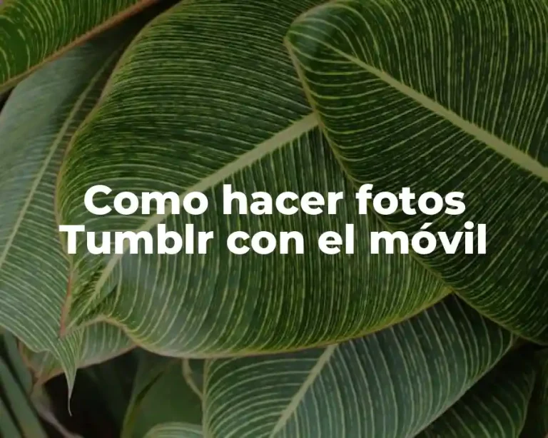 Como hacer fotos Tumblr con el móvil