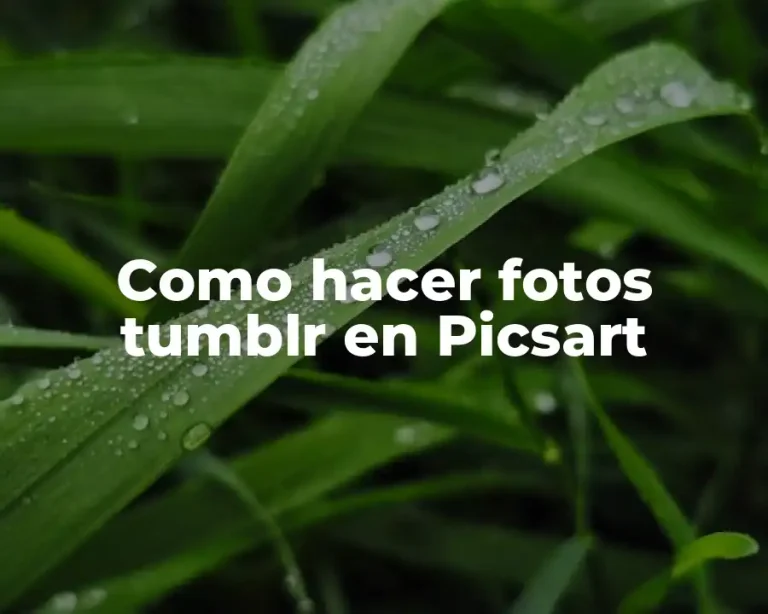 Como hacer fotos tumblr en Picsart