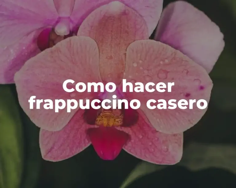 Como hacer frappuccino casero