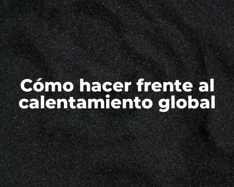 Cómo hacer frente al calentamiento global