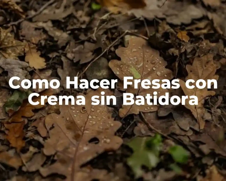 Como Hacer Fresas con Crema sin Batidora