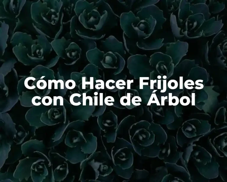 Cómo Hacer Frijoles con Chile de Árbol