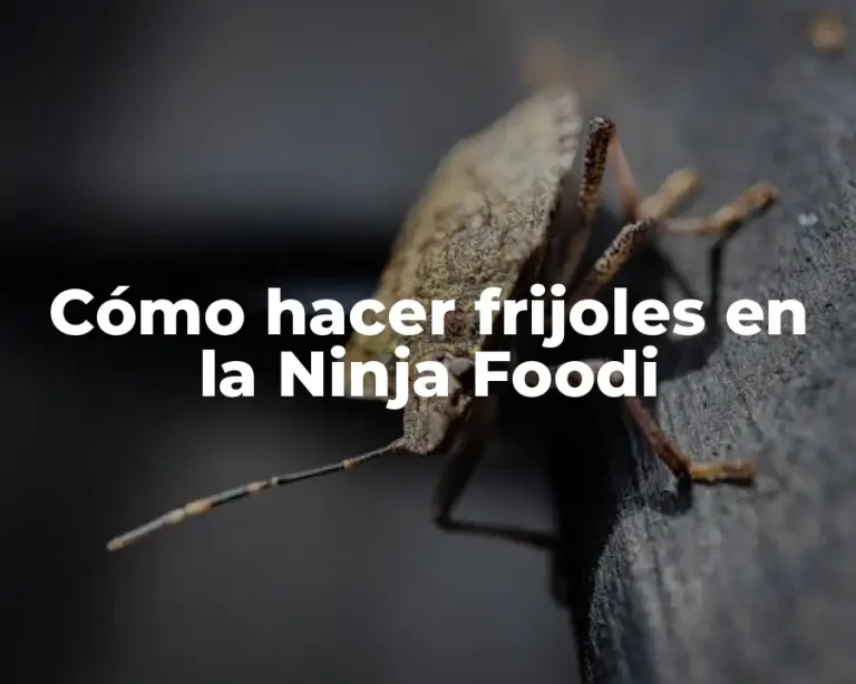 Cómo hacer frijoles en la Ninja Foodi