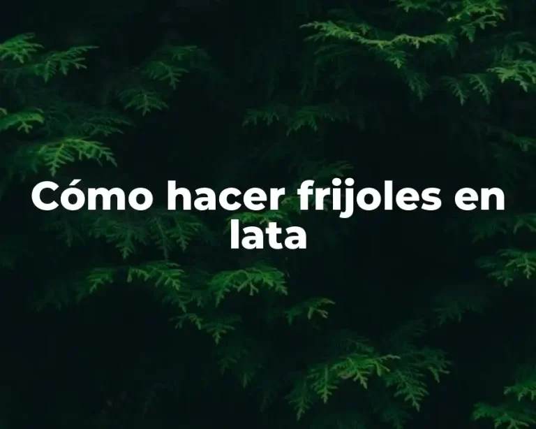 Cómo hacer frijoles en lata