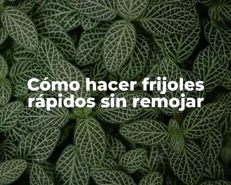 Cómo hacer frijoles rápidos sin remojar