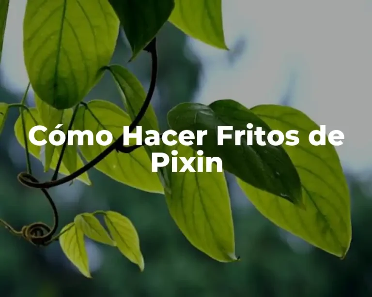 Cómo Hacer Fritos de Pixin