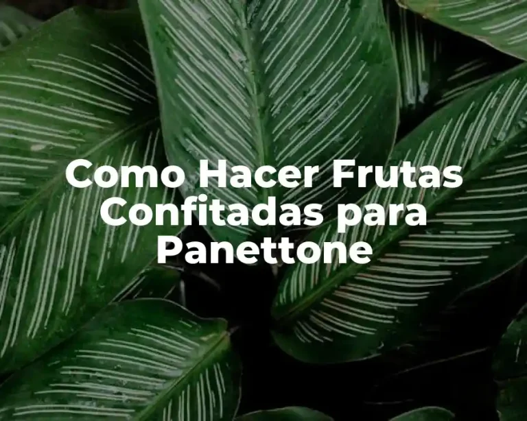Como Hacer Frutas Confitadas para Panettone