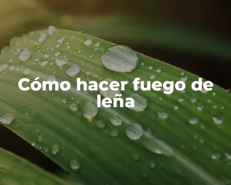 Cómo hacer fuego de leña