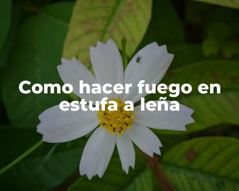 Como hacer fuego en estufa a leña
