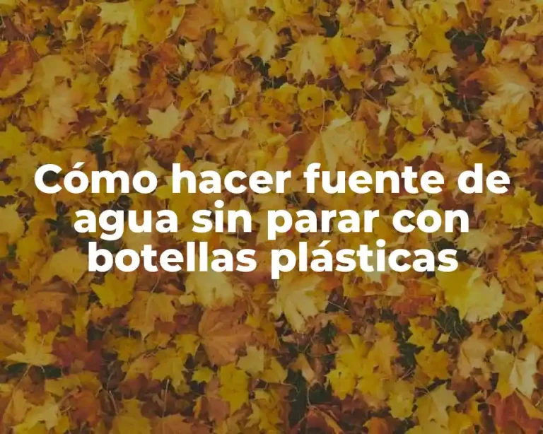 Cómo hacer fuente de agua sin parar con botellas plásticas