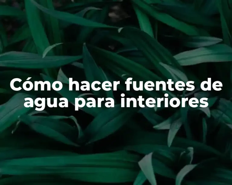 Cómo hacer fuentes de agua para interiores