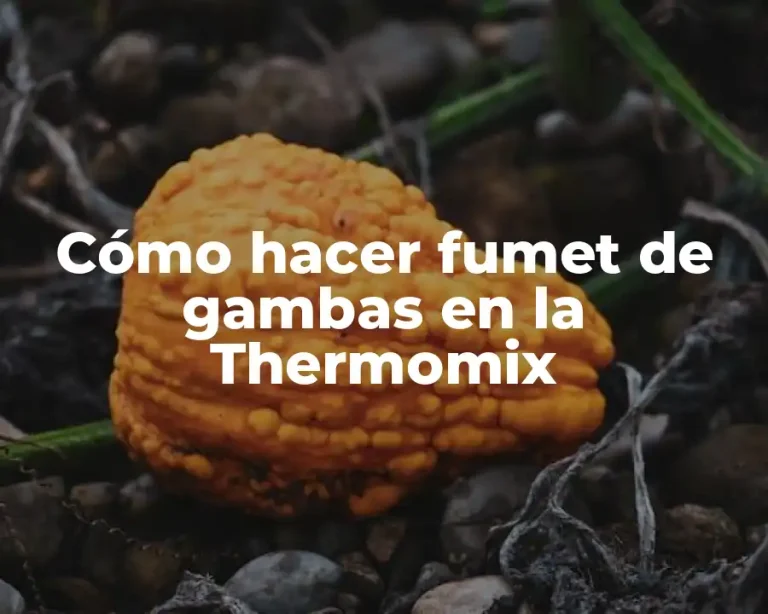 Cómo hacer fumet de gambas en la Thermomix