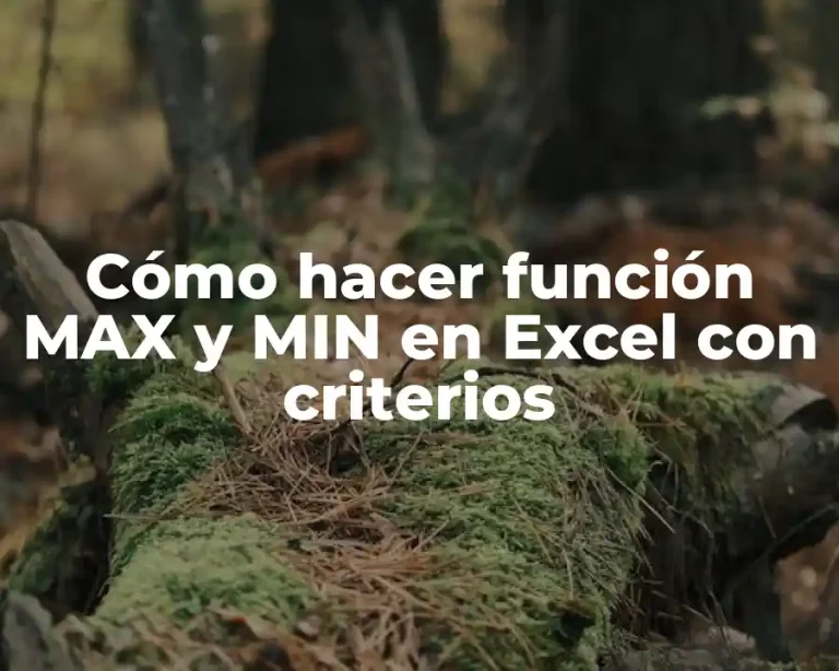 Cómo hacer función MAX y MIN en Excel con criterios