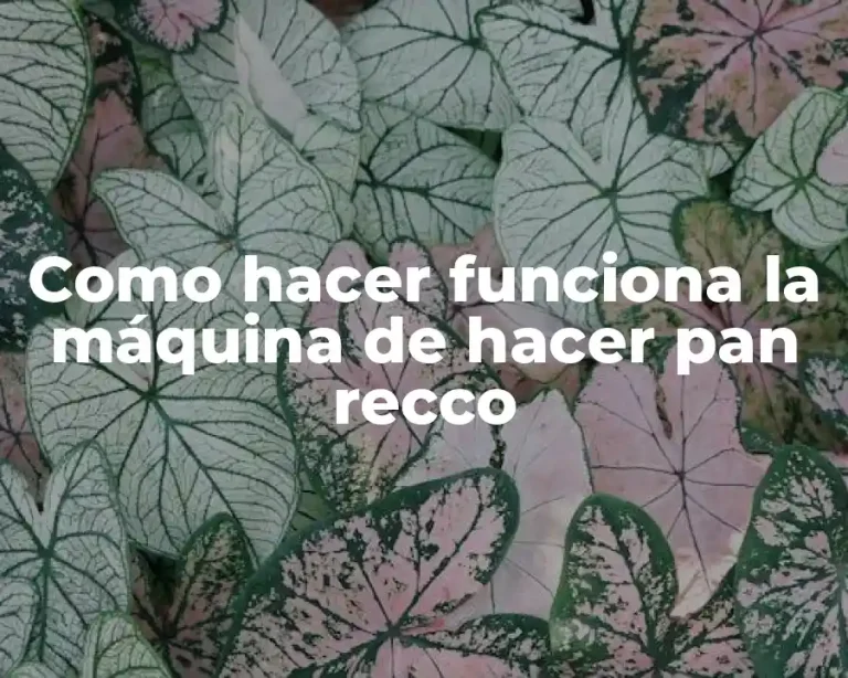 Como hacer funciona la máquina de hacer pan recco