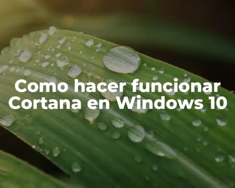Como hacer funcionar Cortana en Windows 10