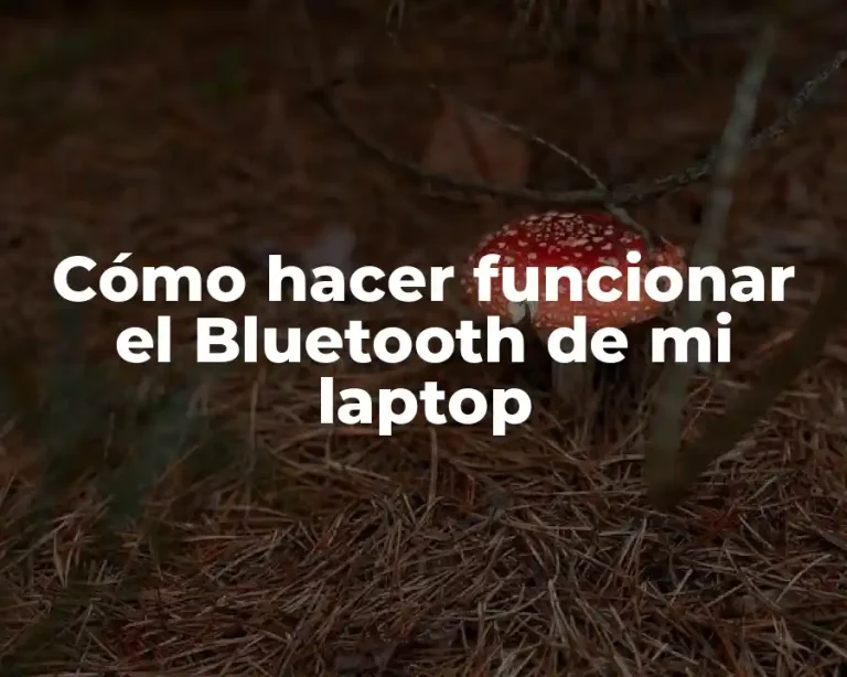 Cómo hacer funcionar el Bluetooth de mi laptop