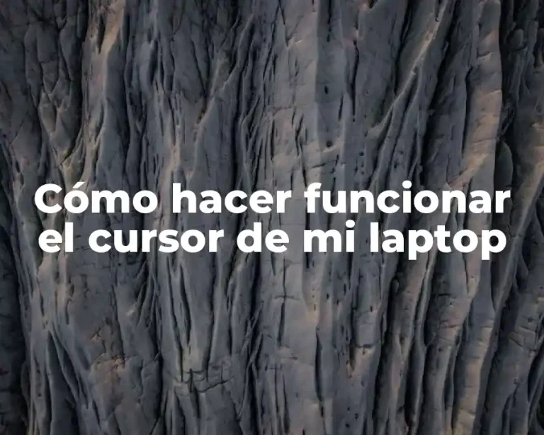 Cómo hacer funcionar el cursor de mi laptop