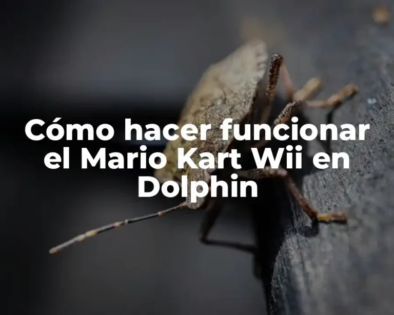 Cómo hacer funcionar el Mario Kart Wii en Dolphin
