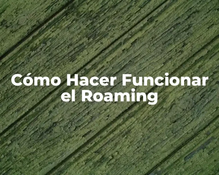 Cómo Hacer Funcionar el Roaming