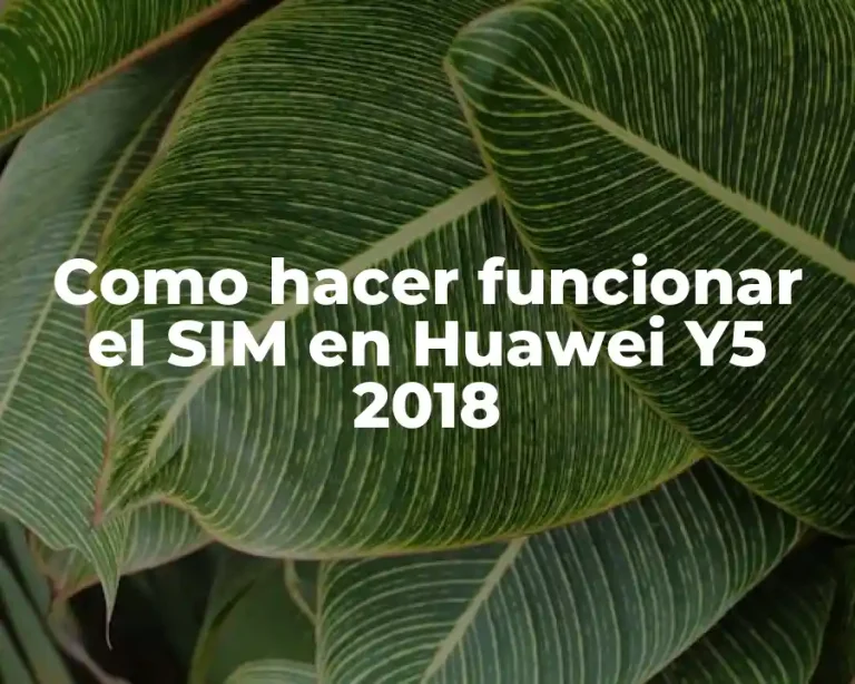 Como hacer funcionar el SIM en Huawei Y5 2018