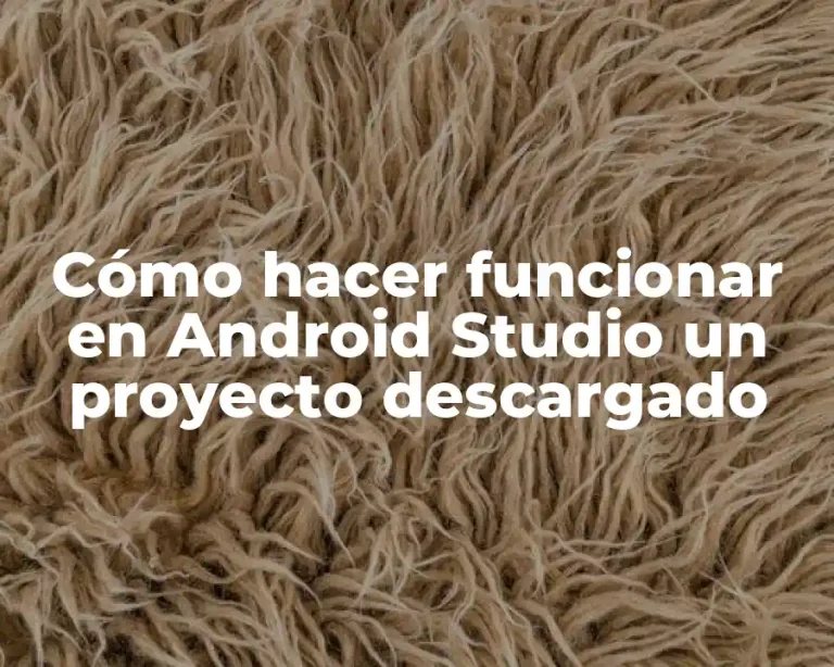 Cómo hacer funcionar en Android Studio un proyecto descargado