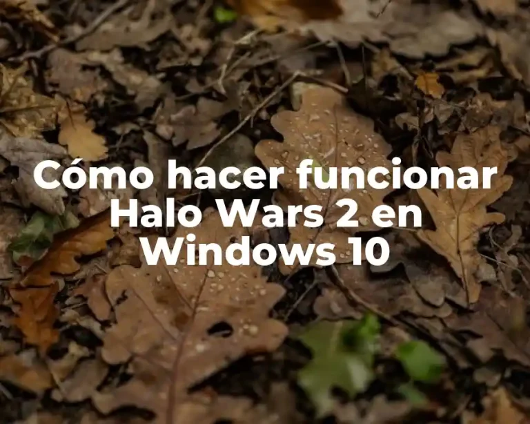 Cómo hacer funcionar Halo Wars 2 en Windows 10