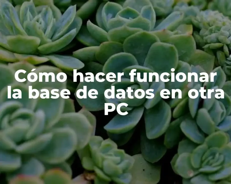 Cómo hacer funcionar la base de datos en otra PC