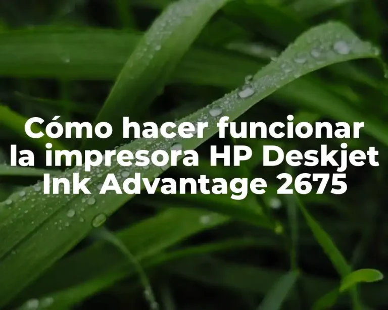 Cómo hacer funcionar la impresora HP Deskjet Ink Advantage 2675