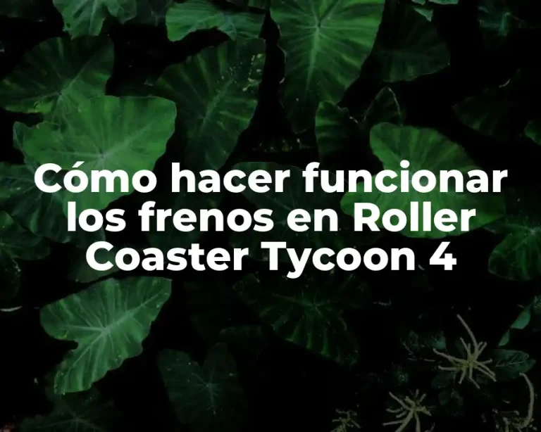 Cómo hacer funcionar los frenos en Roller Coaster Tycoon 4