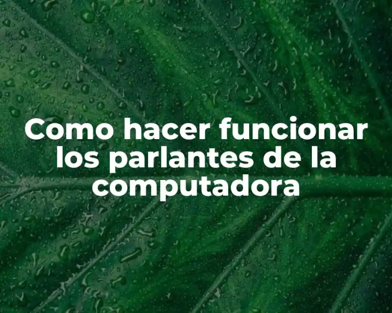 Como hacer funcionar los parlantes de la computadora