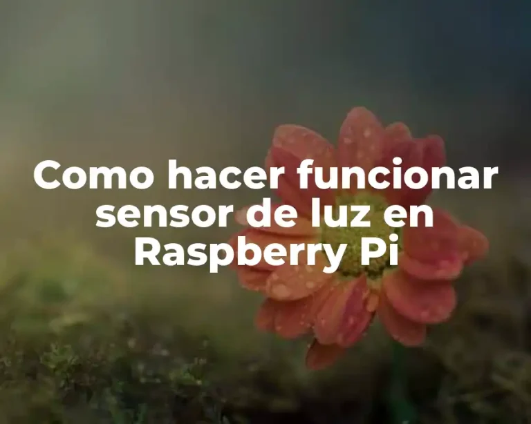 Como hacer funcionar sensor de luz en Raspberry Pi