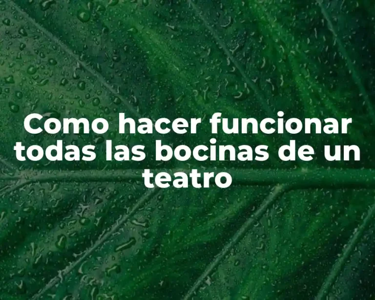 Como hacer funcionar todas las bocinas de un teatro