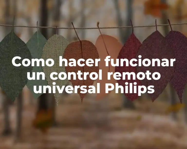 Como hacer funcionar un control remoto universal Philips