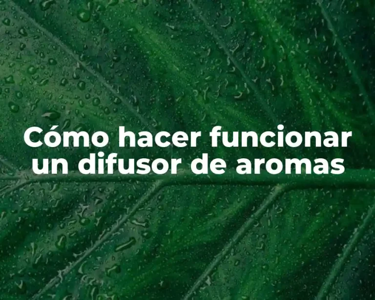 Cómo hacer funcionar un difusor de aromas