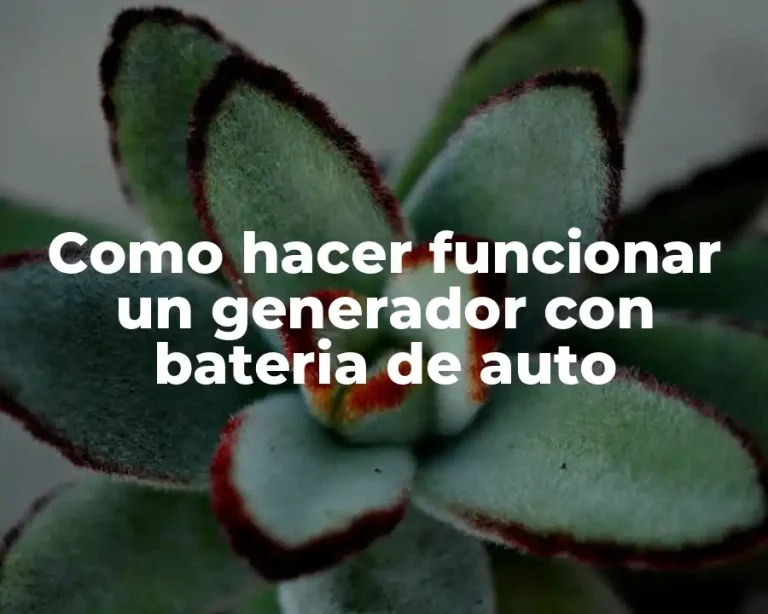 Como hacer funcionar un generador con bateria de auto