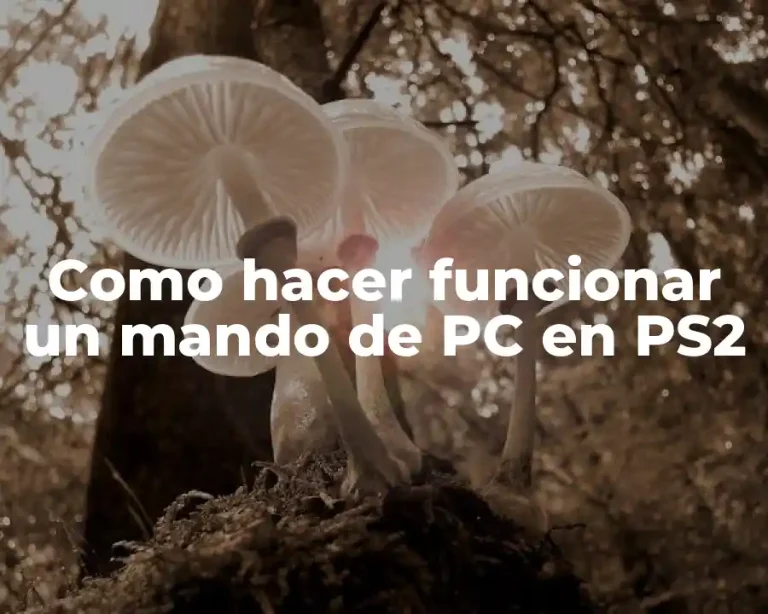 Como hacer funcionar un mando de PC en PS2