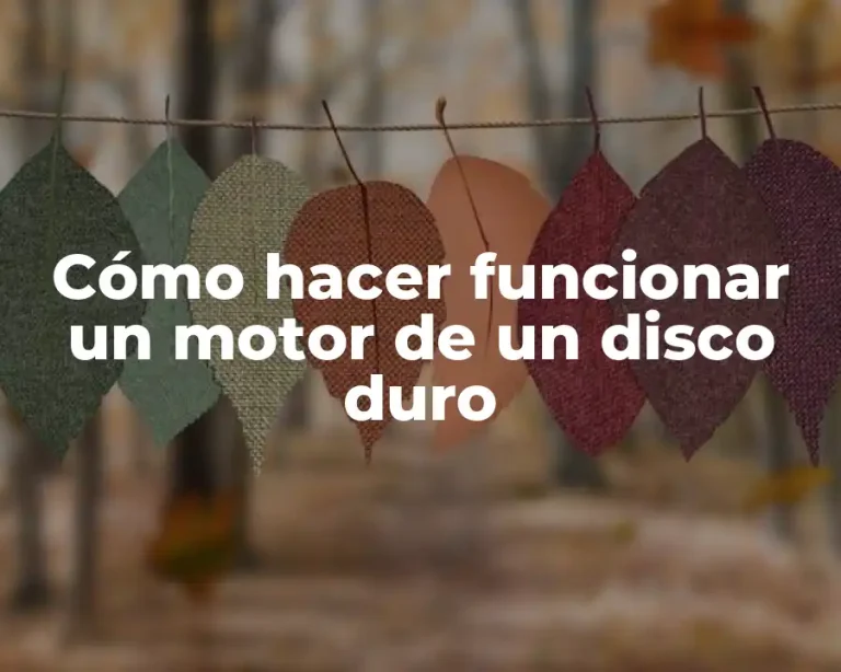 Cómo hacer funcionar un motor de un disco duro