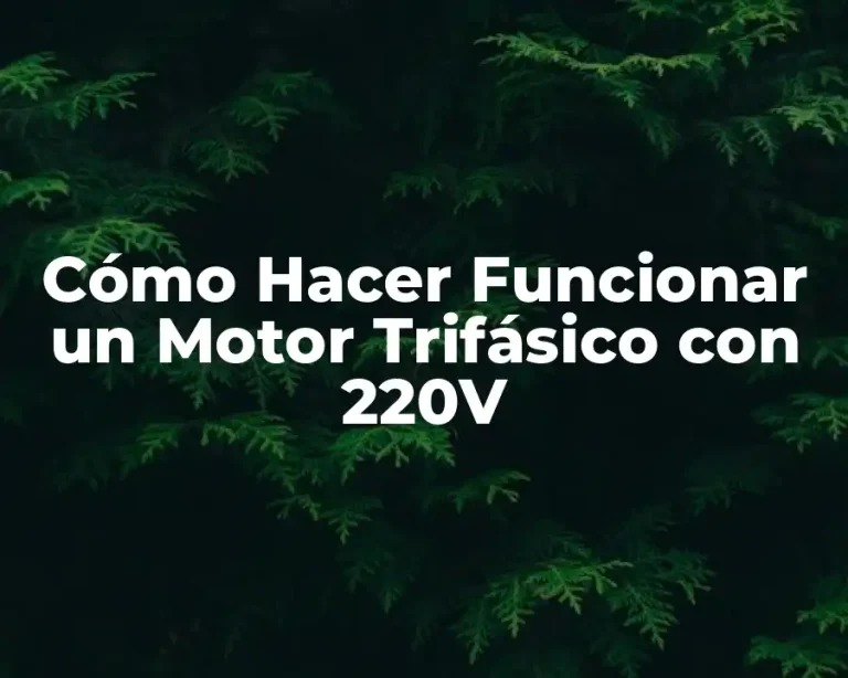 Cómo Hacer Funcionar un Motor Trifásico con 220V