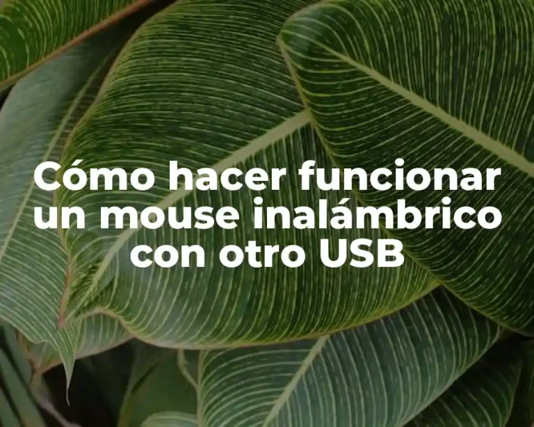 Cómo hacer funcionar un mouse inalámbrico con otro USB