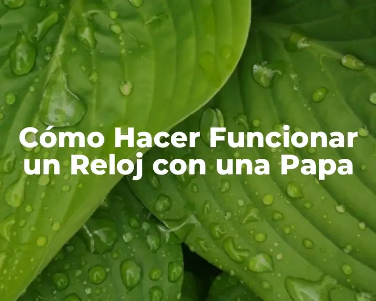 Cómo Hacer Funcionar un Reloj con una Papa