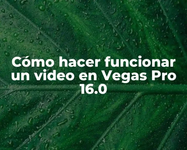 Cómo hacer funcionar un video en Vegas Pro 16.0