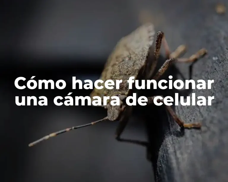 Cómo hacer funcionar una cámara de celular