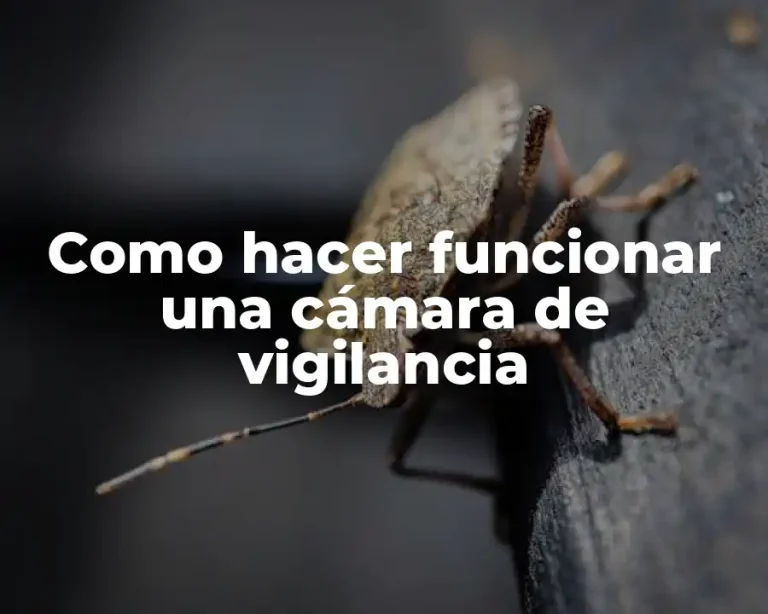 Como hacer funcionar una cámara de vigilancia