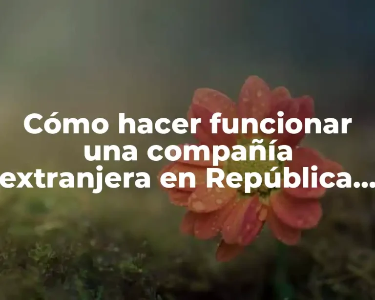 Cómo hacer funcionar una compañía extranjera en República Dominicana