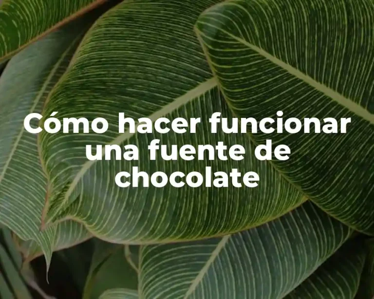 Cómo hacer funcionar una fuente de chocolate