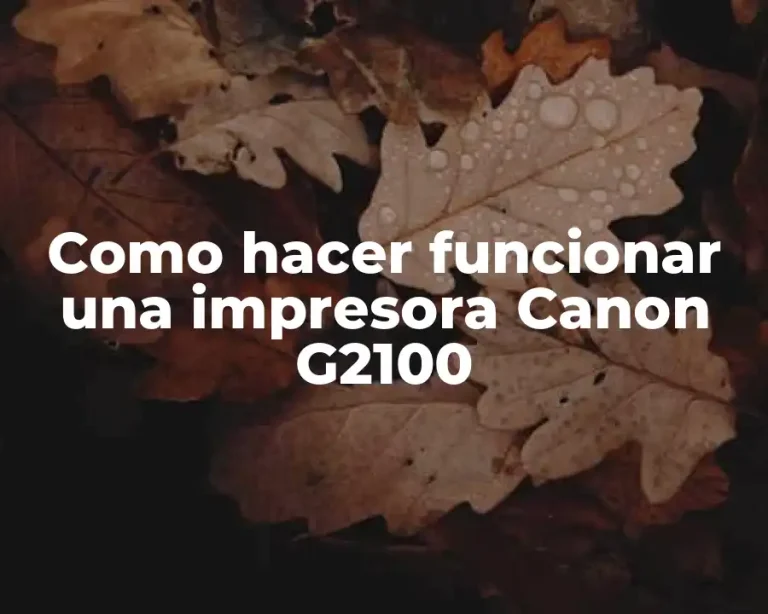 Como hacer funcionar una impresora Canon G2100