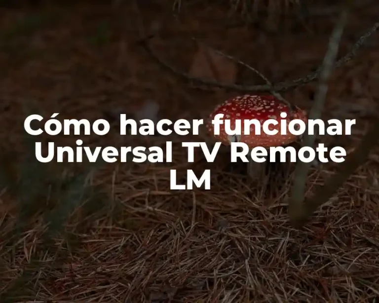 Cómo hacer funcionar Universal TV Remote LM