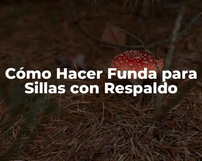 Cómo Hacer Funda para Sillas con Respaldo